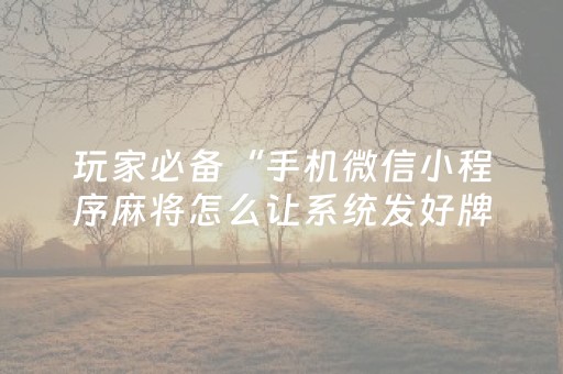 玩家必备“手机微信小程序麻将怎么让系统发好牌”（辅助器通用版)