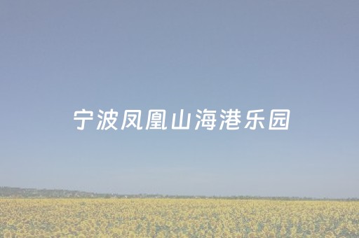 宁波凤凰山海港乐园（宁波凤凰山海港乐园拆了吗）