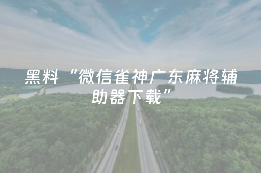 黑料“微信雀神广东麻将辅助器下载”（怎么让系统给自己好牌)