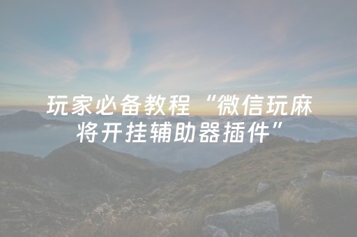 玩家必备教程“微信玩麻将开挂辅助器插件”（透明挂辅助器)