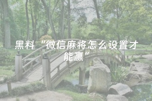 黑料“微信麻将怎么设置才能赢”（软挂神器)