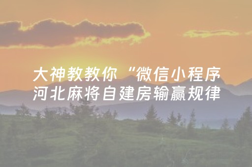 大神教教你“微信小程序河北麻将自建房输赢规律”（怎么设置能有好牌)
