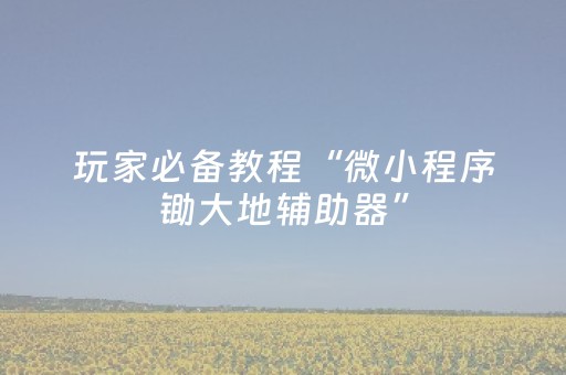 玩家必备教程“微小程序锄大地辅助器”（可以设置输赢吗)