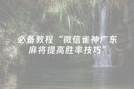 必备教程“微信雀神广东麻将提高胜率技巧”（开挂辅助器脚本)