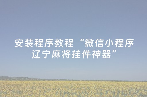 安装程序教程“微信小程序辽宁麻将挂件神器”（辅助器插件)