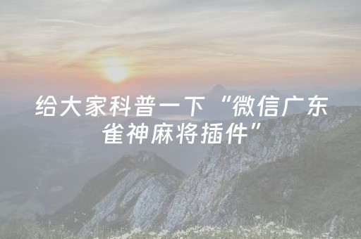 给大家科普一下“微信广东雀神麻将插件”（怎么让系统给你发好牌)