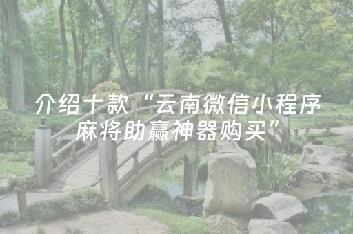 介绍十款“云南微信小程序麻将助赢神器购买”（必赢神器)