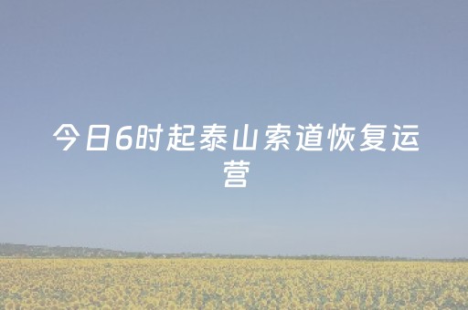 今日6时起泰山索道恢复运营