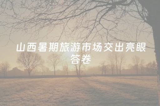 山西暑期旅游市场交出亮眼答卷