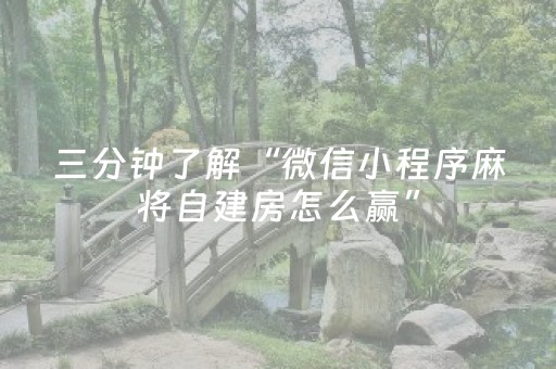 三分钟了解“微信小程序麻将自建房怎么赢”（必赢神器)