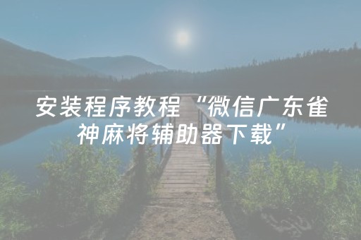 安装程序教程“微信广东雀神麻将辅助器下载”（如何提高胜率)