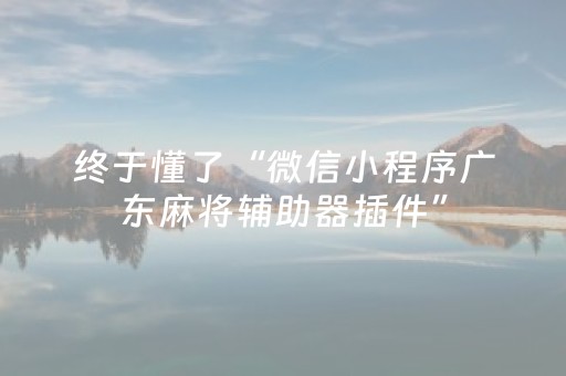 终于懂了“微信小程序广东麻将辅助器插件”（通用挂软件多少钱)