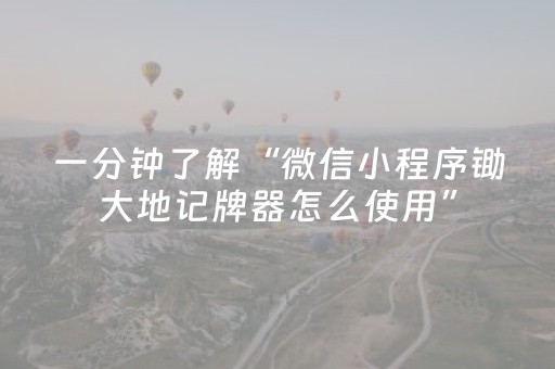 一分钟了解“微信小程序锄大地记牌器怎么使用”（必赢神器)