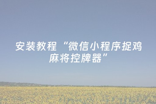 安装教程“微信小程序捉鸡麻将控牌器”（确实有插件吗)