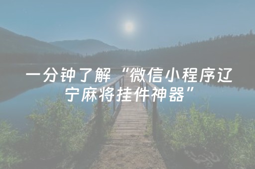 一分钟了解“微信小程序辽宁麻将挂件神器”（怎么设置能有好牌)