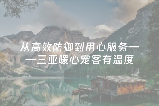 从高效防御到用心服务——三亚暖心宠客有温度