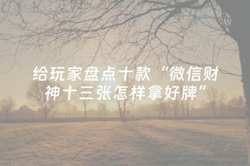 给玩家盘点十款“微信财神十三张怎样拿好牌”（怎么才会赢)