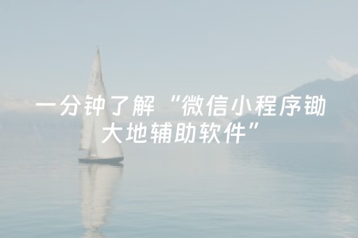 一分钟了解“微信小程序锄大地辅助软件”（技巧和打好牌方法)