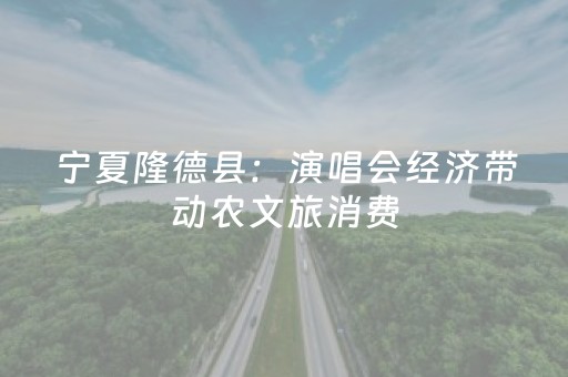 宁夏隆德县：演唱会经济带动农文旅消费