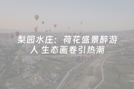 梨园水庄：荷花盛景醉游人 生态画卷引热潮