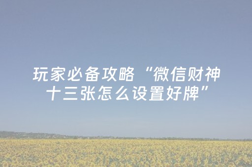 玩家必备攻略“微信财神十三张怎么设置好牌”（通用挂软件多少钱)
