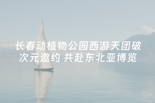 必备教程“微信小程序挖坑怎么让系统发好牌”（如何提高胜率)