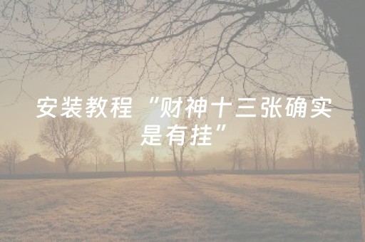 安装教程“财神十三张确实是有挂”（是否能开挂)