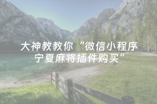 大神教教你“微信小程序宁夏麻将插件购买”（攻略插件)