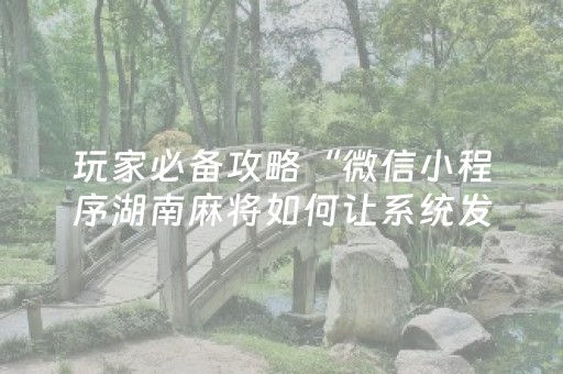 玩家必备攻略“微信小程序湖南麻将如何让系统发好牌”（必赢神器)