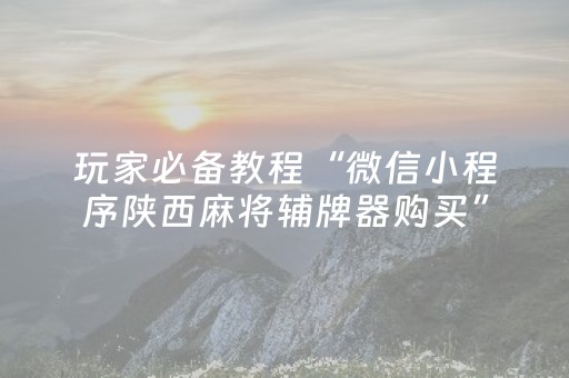 玩家必备教程“微信小程序陕西麻将辅牌器购买”（开挂辅助器脚本)