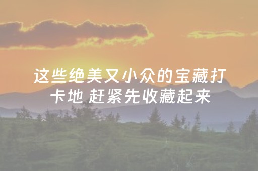 黑料“微信小程序宁夏麻将插件”（控牌神器)