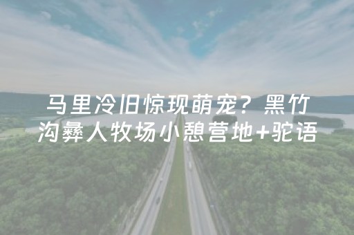 给玩家盘点十款“微信小程序双扣神器”（怎么控制输赢)