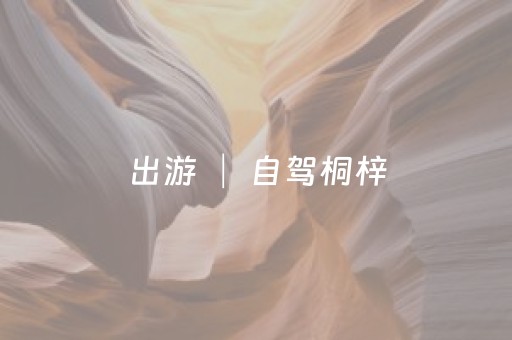 推荐十款“微信小程序麻将怎么设置才能有好牌”（赢的技巧规律)