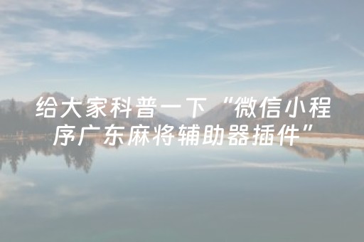 给大家科普一下“微信小程序广东麻将辅助器插件”（专用神器)
