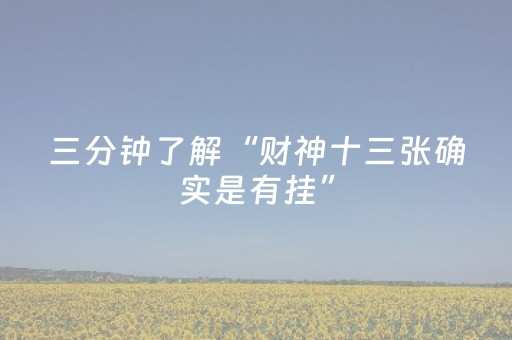三分钟了解“财神十三张确实是有挂”（软挂神器)