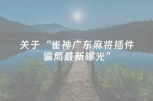关于“雀神广东麻将插件骗局最新曝光”（辅助器插件)