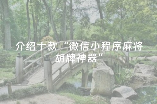 介绍十款“微信小程序麻将胡牌神器”（辅助器下载)