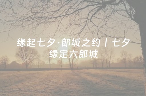 我来教大家“微信财神十三水辅助”（免费辅助)