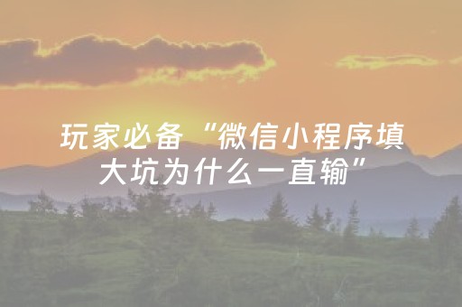玩家必备“微信小程序填大坑为什么一直输”（神器最新免费)