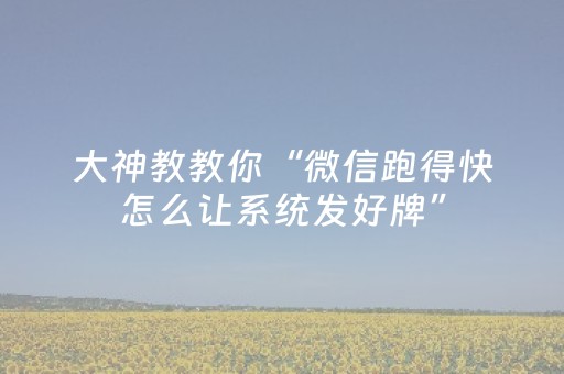 大神教教你“微信跑得快怎么让系统发好牌”（AI辅助胡牌规则)