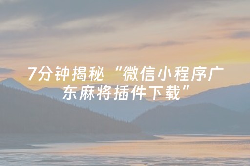 7分钟揭秘“微信小程序广东麻将插件下载”（控牌器)