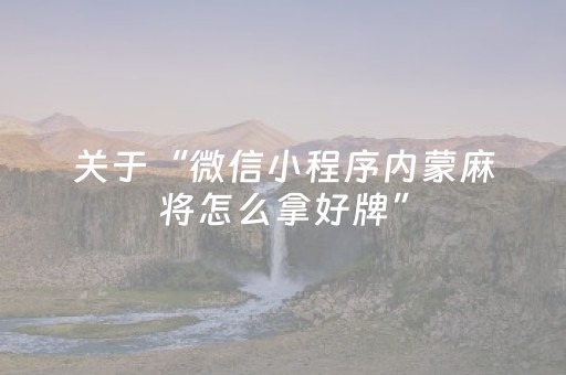 关于“微信小程序内蒙麻将怎么拿好牌”（辅牌器插件购买)