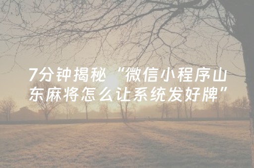 7分钟揭秘“微信小程序山东麻将怎么让系统发好牌”（充会员胜率高)