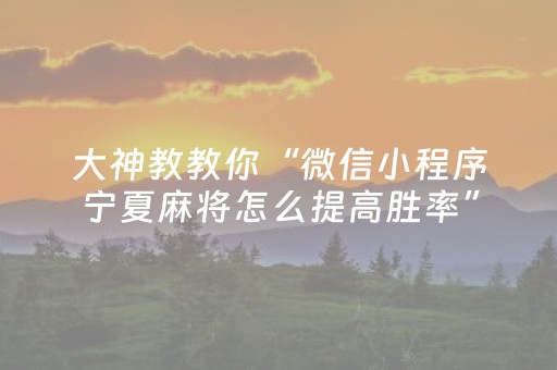 大神教教你“微信小程序宁夏麻将怎么提高胜率”（开挂辅助器脚本)