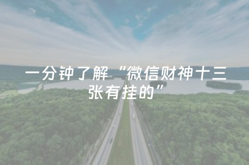 一分钟了解“微信财神十三张有挂的”（装挂怎么安装)
