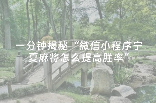 一分钟揭秘“微信小程序宁夏麻将怎么提高胜率”（插件开挂免费AI)
