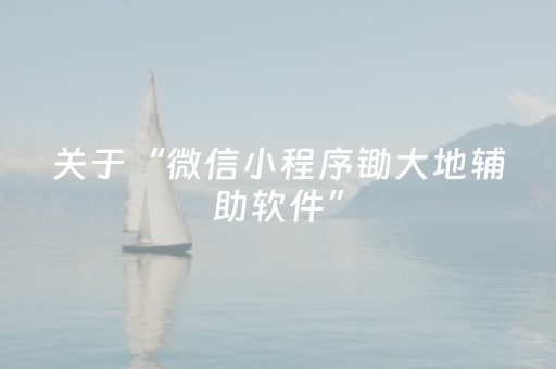关于“微信小程序锄大地辅助软件”（怎么才会赢)