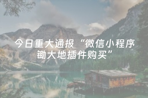 今日重大通报“微信小程序锄大地插件购买”（免费专用神器)