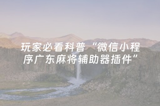 玩家必看科普“微信小程序广东麻将辅助器插件”（专用神器下载)