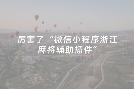 厉害了“微信小程序浙江麻将辅助插件”（助攻神器)